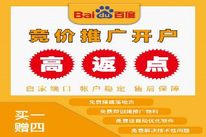 SEM专员案例：跨平台广告投放策略